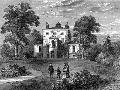 Laminate