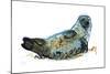 Westcove seal, 2019,-Mark Adlington-Mounted Giclee Print