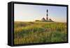 Westerhever Lighthouse, North Sea, Schleswig-Holstein, Westerheversand, Wadden Sea-Herbert Kehrer-Framed Stretched Canvas