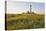 Westerhever Lighthouse, North Sea, Schleswig-Holstein, Westerheversand, Wadden Sea-Herbert Kehrer-Stretched Canvas