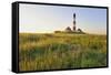 Westerhever Lighthouse, North Sea, Schleswig-Holstein, Westerheversand, Wadden Sea-Herbert Kehrer-Framed Stretched Canvas