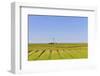 Westerhever Lighthouse, North Sea, Schleswig-Holstein, Westerheversand, Wadden Sea-Herbert Kehrer-Framed Photographic Print