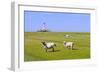 Westerhever Lighthouse, North Sea, Schleswig-Holstein, Westerheversand, Wadden Sea-Herbert Kehrer-Framed Photographic Print