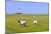 Westerhever Lighthouse, North Sea, Schleswig-Holstein, Westerheversand, Wadden Sea-Herbert Kehrer-Mounted Photographic Print