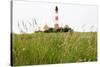 Westerheversand Lighthouse, Westerhever, Eiderstedt Peninsula, Schleswig Holstein, Germany, Europe-Markus Lange-Stretched Canvas