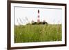 Westerheversand Lighthouse, Westerhever, Eiderstedt Peninsula, Schleswig Holstein, Germany, Europe-Markus Lange-Framed Photographic Print