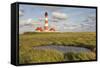 Westerheversand Lighthouse, Westerhever, Eiderstedt Peninsula, Schleswig Holstein, Germany, Europe-Markus Lange-Framed Stretched Canvas