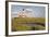 Westerheversand Lighthouse, Westerhever, Eiderstedt Peninsula, Schleswig Holstein, Germany, Europe-Markus Lange-Framed Photographic Print