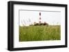 Westerheversand Lighthouse, Westerhever, Eiderstedt Peninsula, Schleswig Holstein, Germany, Europe-Markus Lange-Framed Photographic Print