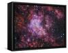 Westerlund 2 (Gum 29) Star Cluster in Carina-Stocktrek Images-Framed Stretched Canvas