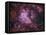 Westerlund 2 (Gum 29) Star Cluster in Carina-Stocktrek Images-Framed Stretched Canvas