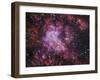 Westerlund 2 (Gum 29) Star Cluster in Carina-Stocktrek Images-Framed Photographic Print