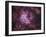 Westerlund 2 (Gum 29) Star Cluster in Carina-Stocktrek Images-Framed Photographic Print