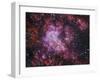 Westerlund 2 (Gum 29) Star Cluster in Carina-Stocktrek Images-Framed Photographic Print