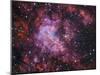 Westerlund 2 (Gum 29) Star Cluster in Carina-Stocktrek Images-Mounted Photographic Print