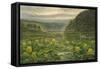 Westerly Pond-Bruce Dumas-Framed Stretched Canvas