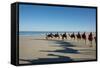 Western Australia, Broome, Cable Beach. Camel Ride on Cable Beach-Cindy Miller Hopkins-Framed Stretched Canvas