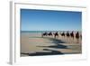 Western Australia, Broome, Cable Beach. Camel Ride on Cable Beach-Cindy Miller Hopkins-Framed Photographic Print