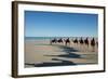 Western Australia, Broome, Cable Beach. Camel Ride on Cable Beach-Cindy Miller Hopkins-Framed Photographic Print