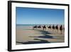 Western Australia, Broome, Cable Beach. Camel Ride on Cable Beach-Cindy Miller Hopkins-Framed Photographic Print