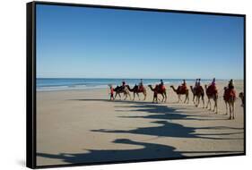 Western Australia, Broome, Cable Beach. Camel Ride on Cable Beach-Cindy Miller Hopkins-Framed Stretched Canvas