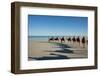 Western Australia, Broome, Cable Beach. Camel Ride on Cable Beach-Cindy Miller Hopkins-Framed Photographic Print