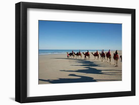 Western Australia, Broome, Cable Beach. Camel Ride on Cable Beach-Cindy Miller Hopkins-Framed Photographic Print