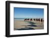 Western Australia, Broome, Cable Beach. Camel Ride on Cable Beach-Cindy Miller Hopkins-Framed Photographic Print