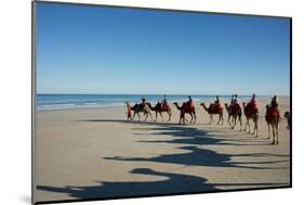 Western Australia, Broome, Cable Beach. Camel Ride on Cable Beach-Cindy Miller Hopkins-Mounted Photographic Print