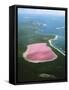 Western Australia Lake Hillier, Middle Island-null-Framed Stretched Canvas