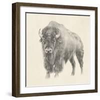 Western Bison Study-Ethan Harper-Framed Art Print