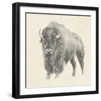 Western Bison Study-Ethan Harper-Framed Art Print