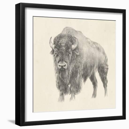 Western Bison Study-Ethan Harper-Framed Art Print