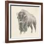 Western Bison Study-Ethan Harper-Framed Art Print