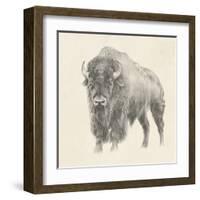 Western Bison Study-Ethan Harper-Framed Art Print