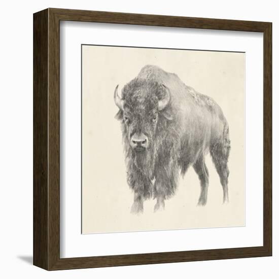 Western Bison Study-Ethan Harper-Framed Art Print