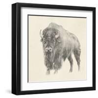 Western Bison Study-Ethan Harper-Framed Art Print