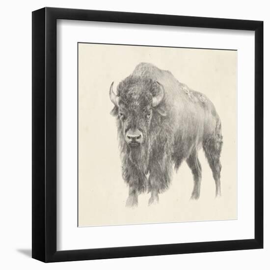 Western Bison Study-Ethan Harper-Framed Art Print