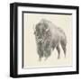 Western Bison Study-Ethan Harper-Framed Art Print