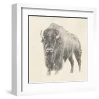 Western Bison Study-Ethan Harper-Framed Art Print