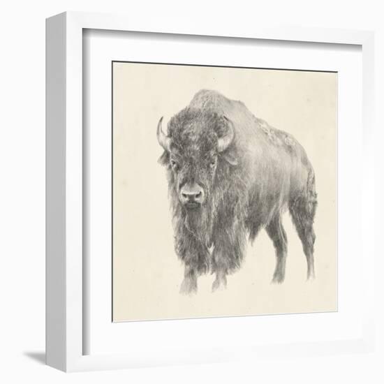 Western Bison Study-Ethan Harper-Framed Art Print