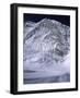 Western Comb, Nepal-Michael Brown-Framed Photographic Print