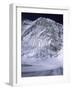 Western Comb, Nepal-Michael Brown-Framed Photographic Print