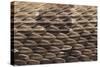 Western Diamondback Rattlesnake Skin-DLILLC-Stretched Canvas