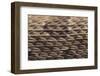 Western Diamondback Rattlesnake Skin-DLILLC-Framed Premium Photographic Print