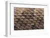 Western Diamondback Rattlesnake Skin-DLILLC-Framed Premium Photographic Print