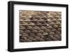 Western Diamondback Rattlesnake Skin-DLILLC-Framed Photographic Print