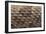 Western Diamondback Rattlesnake Skin-DLILLC-Framed Photographic Print