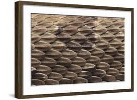 Western Diamondback Rattlesnake Skin-DLILLC-Framed Photographic Print