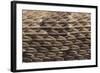 Western Diamondback Rattlesnake Skin-DLILLC-Framed Photographic Print